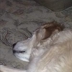 Meet your Posher, Sharon